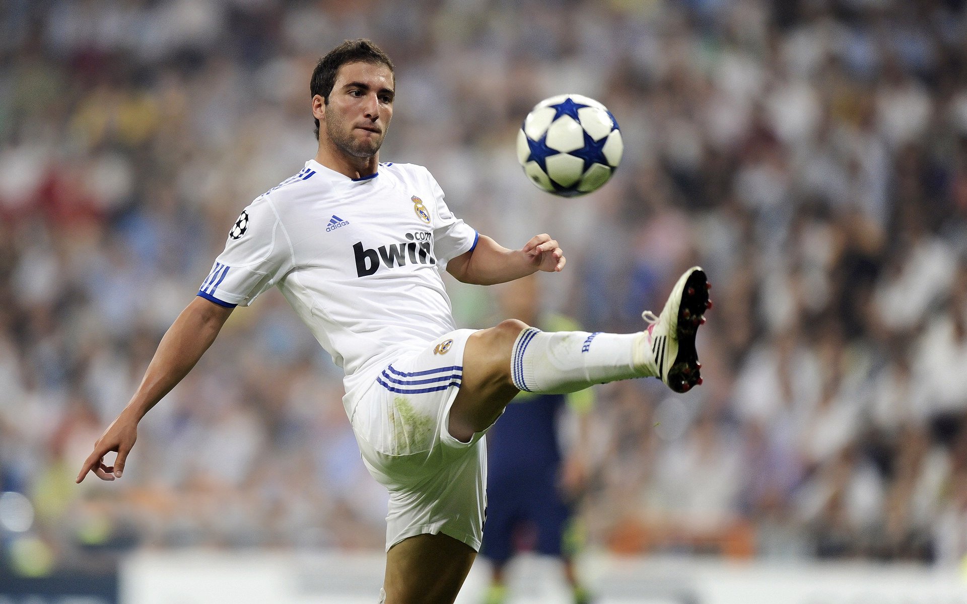 《光明新星：来自中国的“X”战队成员展望未来》，光明星网络技术股份有限公司